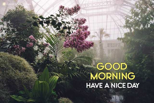 Good Morning Images In HD