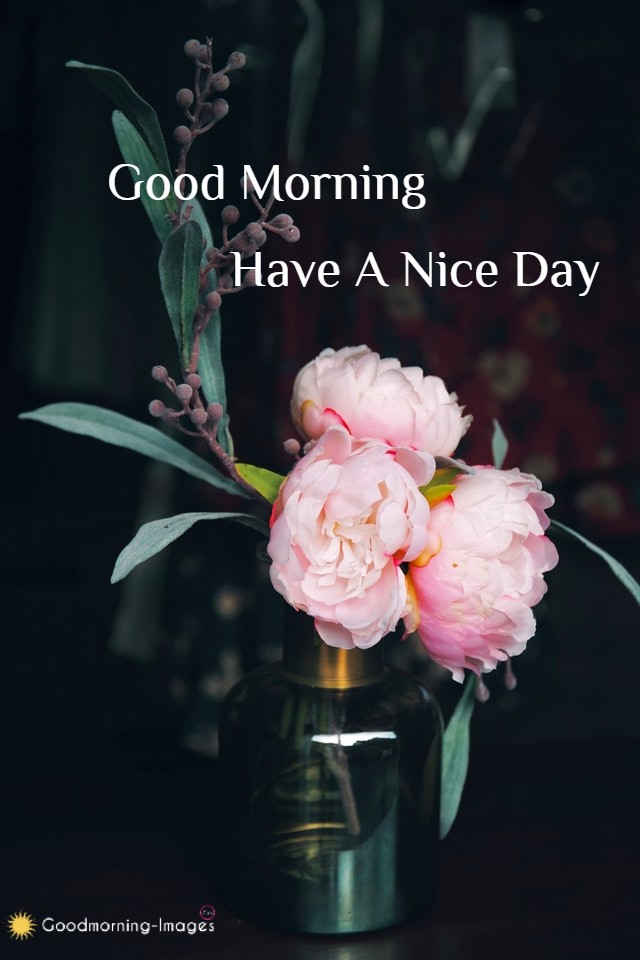 Good Morning Lovely Flowers HD Pictures
