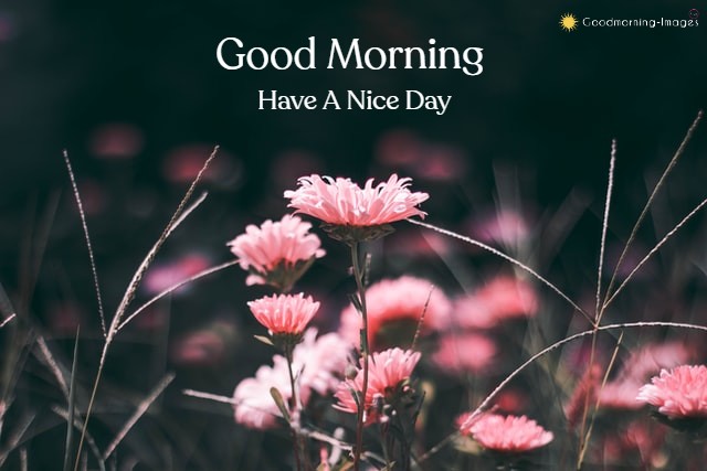 Good Morning Special Images HD