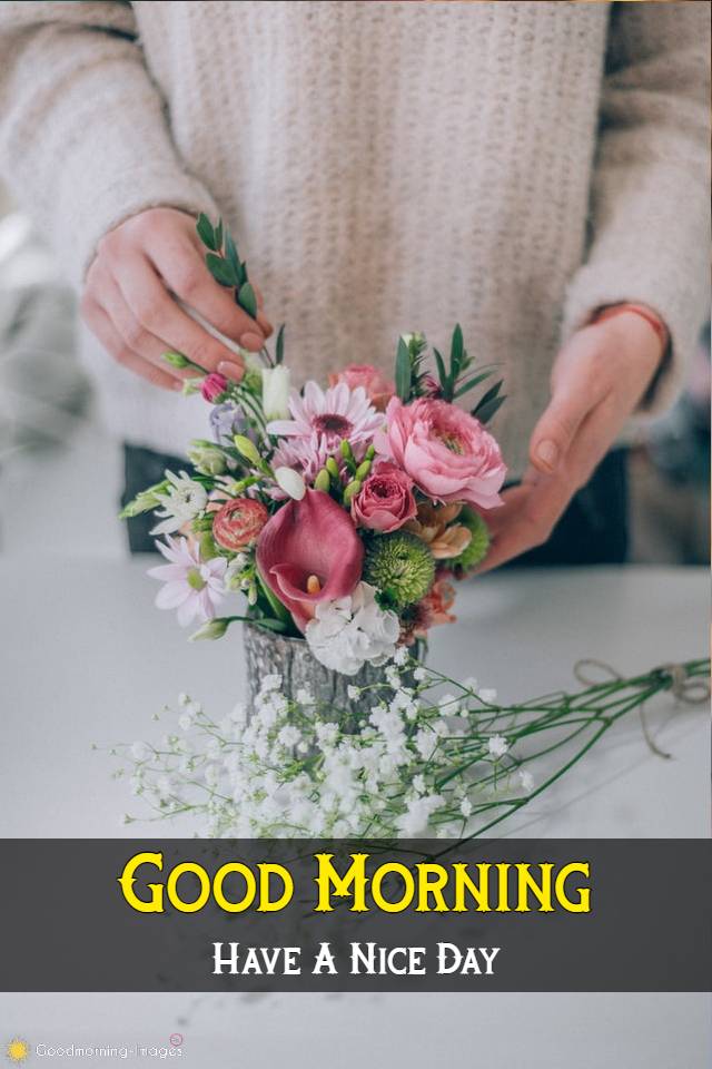 Good Morning Images Download HD
