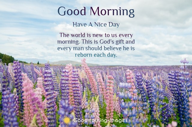 Good Morning Flowers Wishes Images