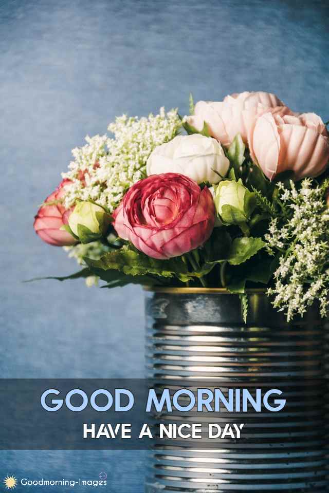 Good Morning Flower Wishes Pictures