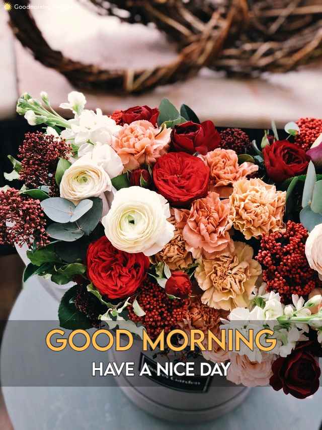 Good Morning Wishes with Flowers Images