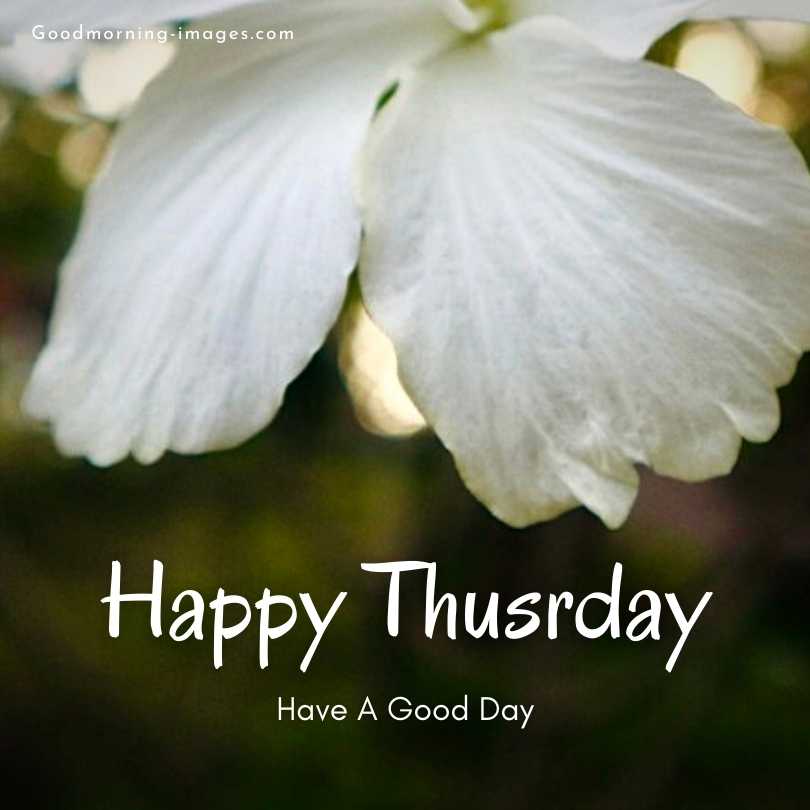 Happy Thursday HD Pictures