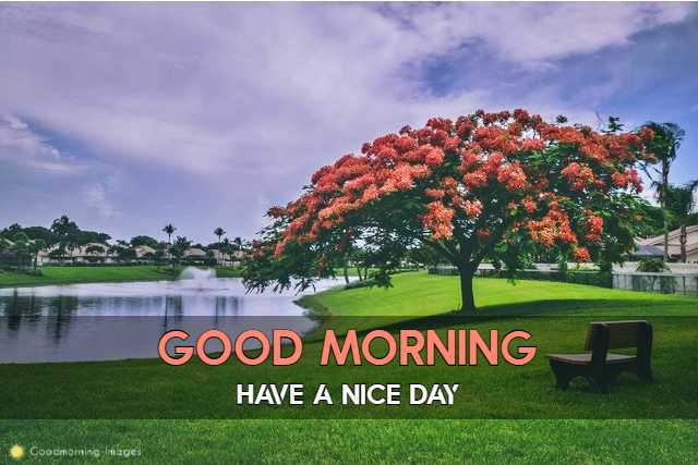 Good Morning 1080p HD Images Download