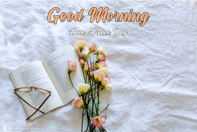 Morning HD Images Download