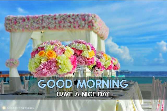 Good Morning Special Pictures HD