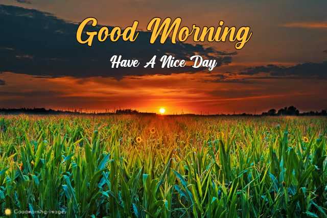 Good Morning Special Images