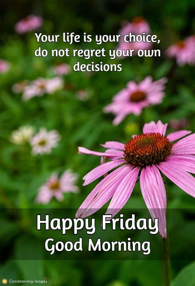 Good Morning Friday Wishes Images