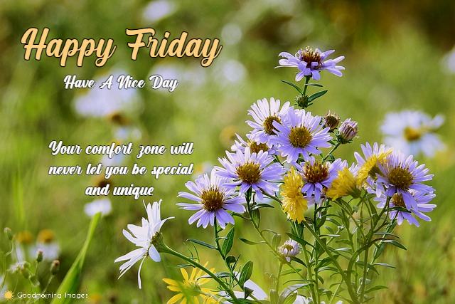 Happy Friday HD Images Quotes