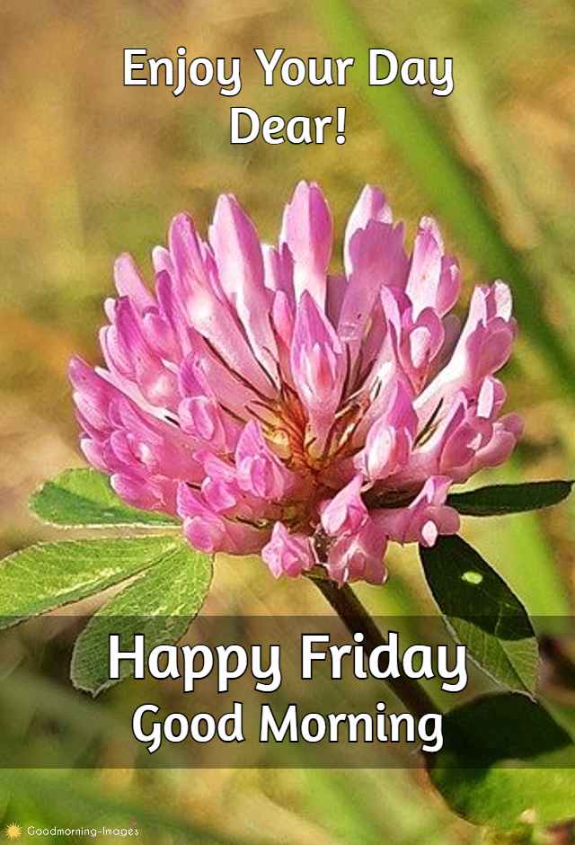 Happy Friday HD Images