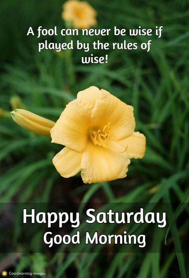 Good Morning Saturday Pictures Wishes