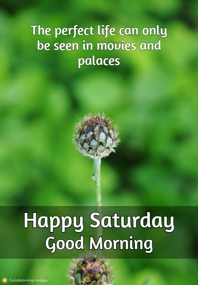 Happy Saturday Quotes Images