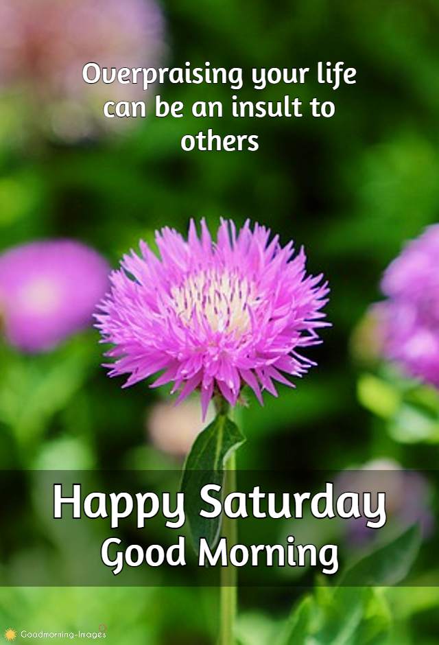 Happy Saturday Images Wishes
