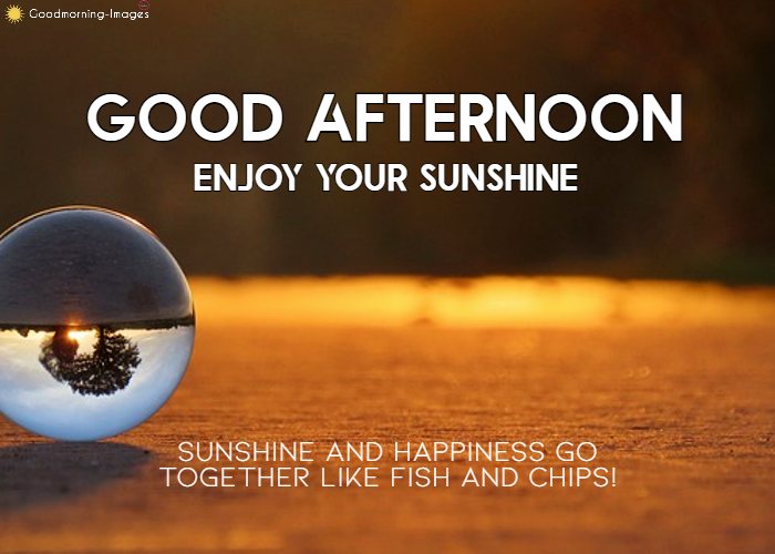 Good Afternoon HD Images Download