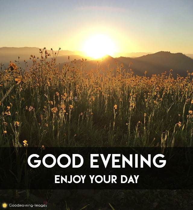 Best Good Evening Images Download