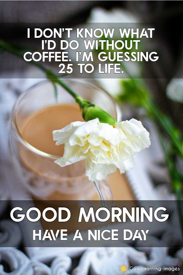 Good Morning Coffee Love