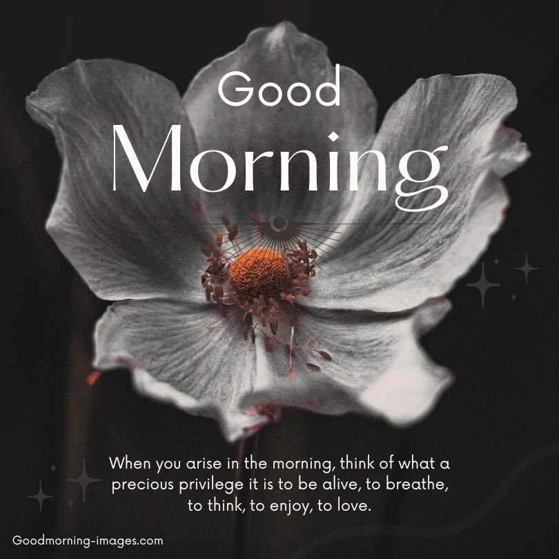 Good Morning Lovely HD Quotes Pictures