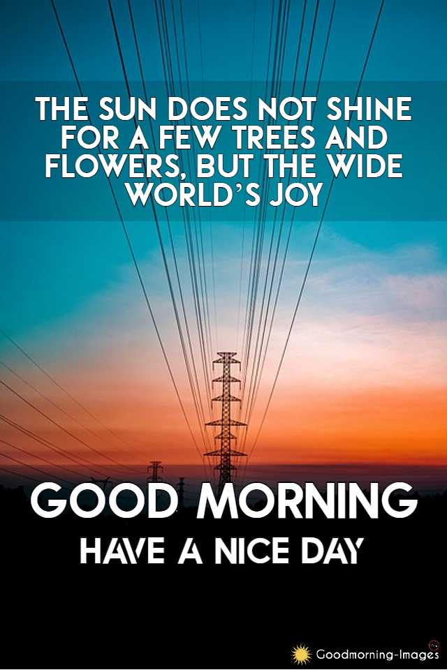 Good Morning Sunshine Wishes Pictures