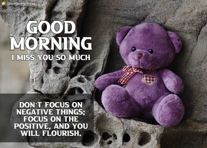 Good Morning Teddy Bear inspirational Images