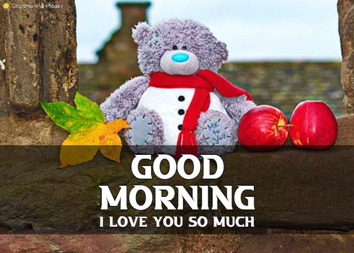 Good Morning Teddy Love You Images