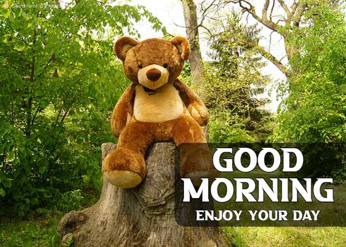 Good Morning Teddy Bear Hug Images