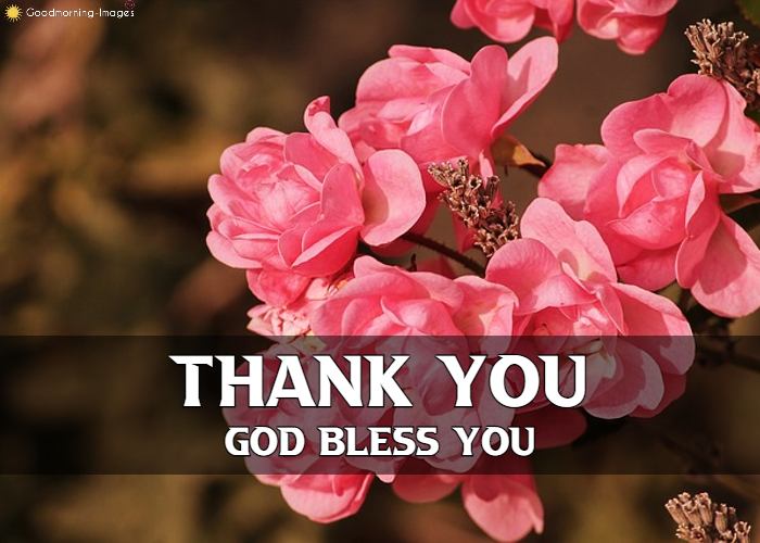Thank You Images Free Download