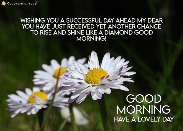 Good Morning Images with Messages