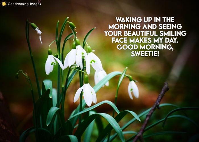 Good Morning Wishes Messages Images