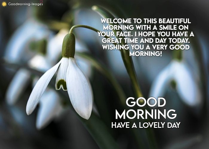 Good Morning Wishes Images