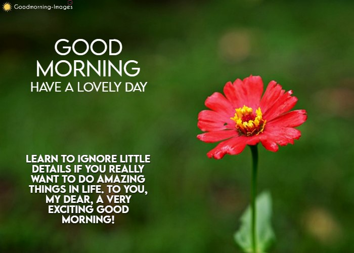 Heart Touching Good Morning Messages