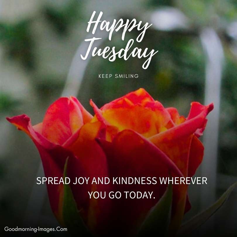 Happy Tuesday Good Morning Blessings