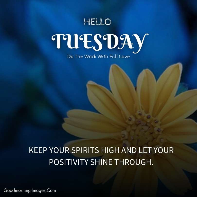 Happy Tuesday Good Morning Blessings
