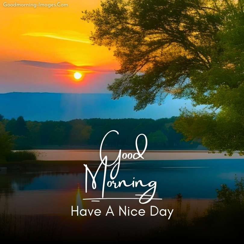 Lovely Morning nature Images
