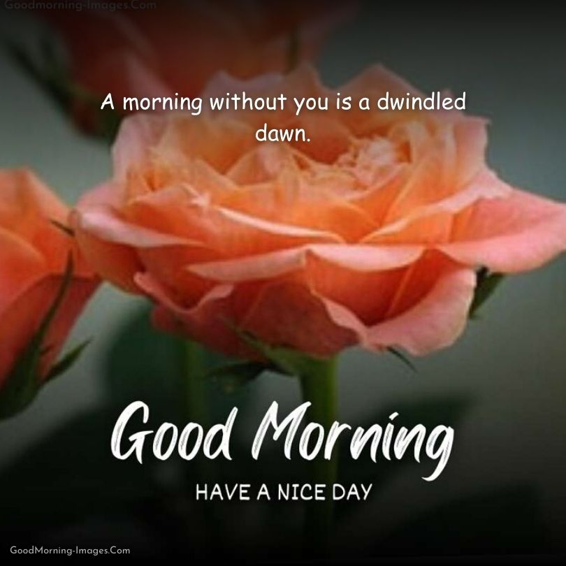 Good Morning Messages Images