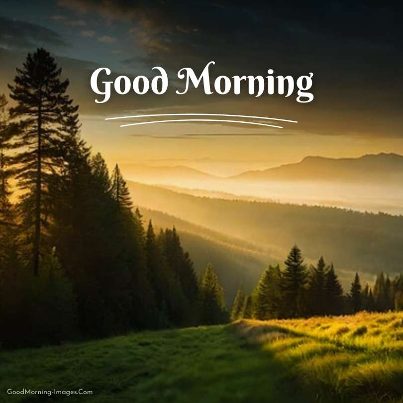 Good Morning Nature Real Images