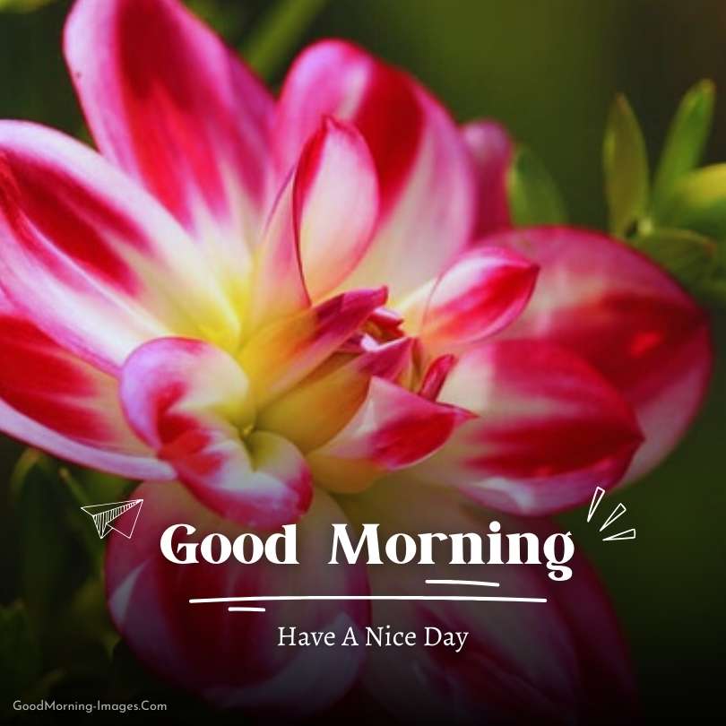 Happy Morning Images HD 