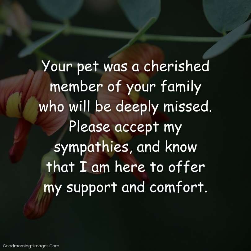 Sympathy Messages For Loss Pet