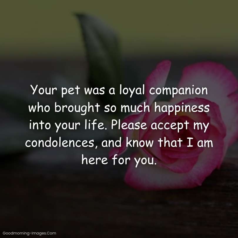 Sympathy Messages For Loss Pet