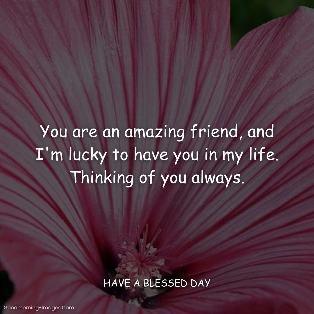 Thinking Of You Friends Quotes